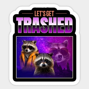 Funny Raccoon Trash Panda Sticker
